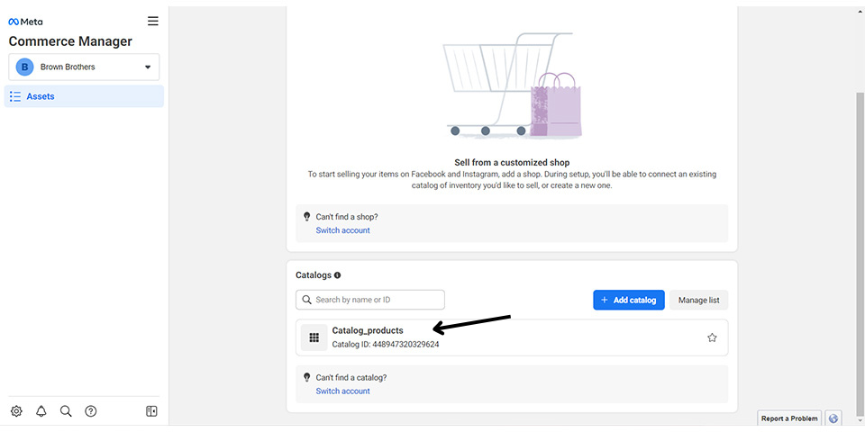 Facebook Domain Verification Step 3