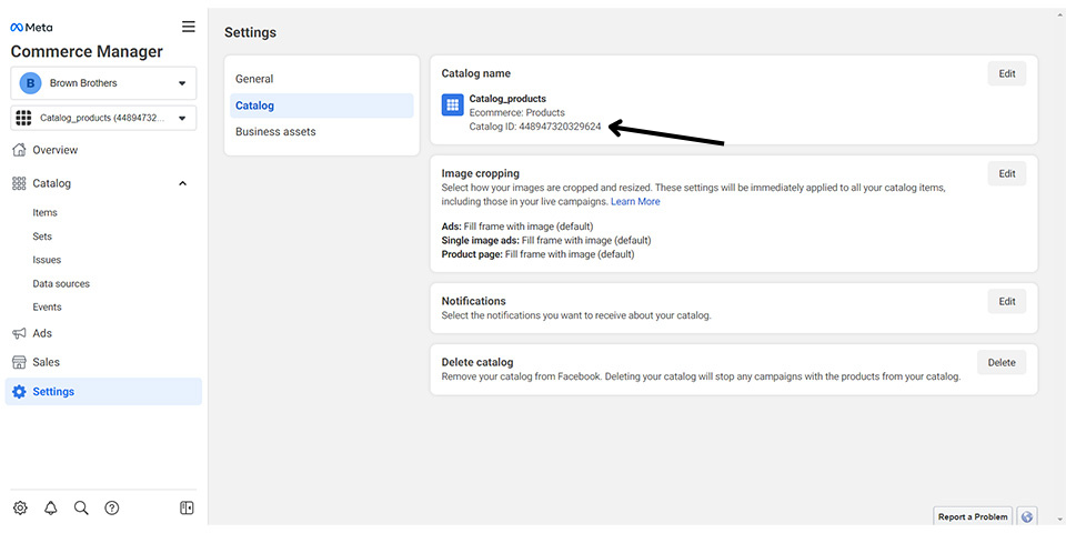 Facebook Domain Verification Step 5
